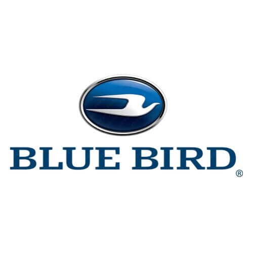 blue bird