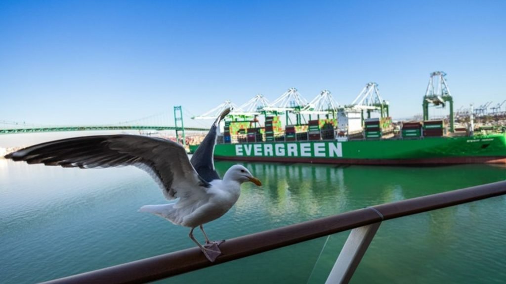 Cargo ship transporting freight at sea