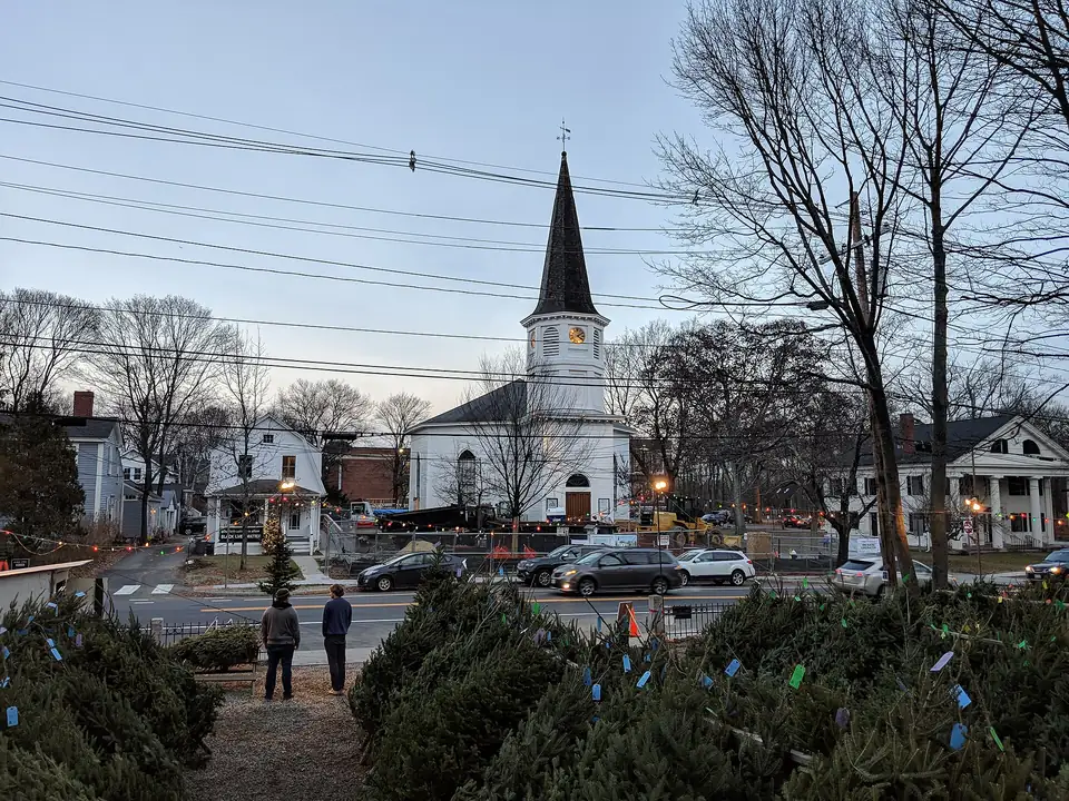 Christmas tree lot with trees standing for sale