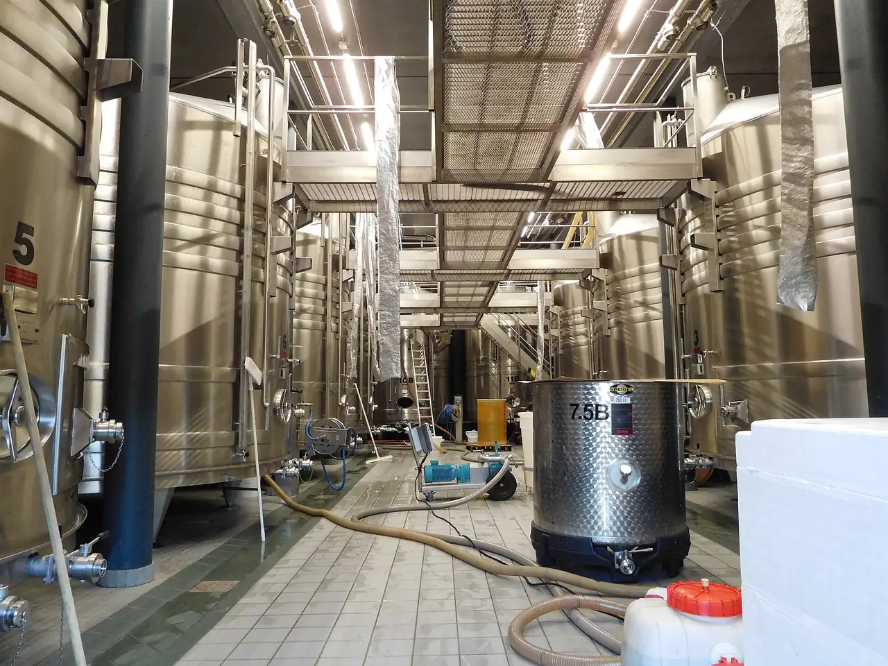 Row of tall stainless steel wine fermentation tanks in a winery